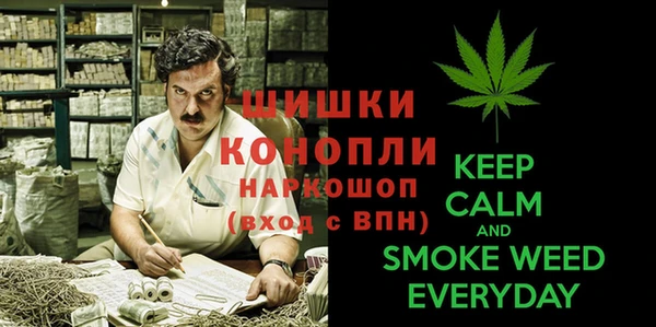 первитин Козельск