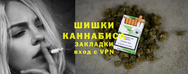 первитин Козельск