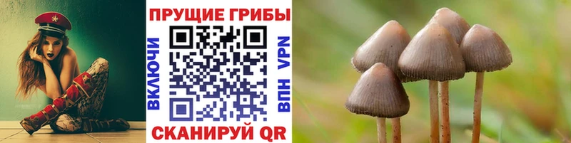 Псилоцибиновые грибы мухоморы  Купить  Ирбит 